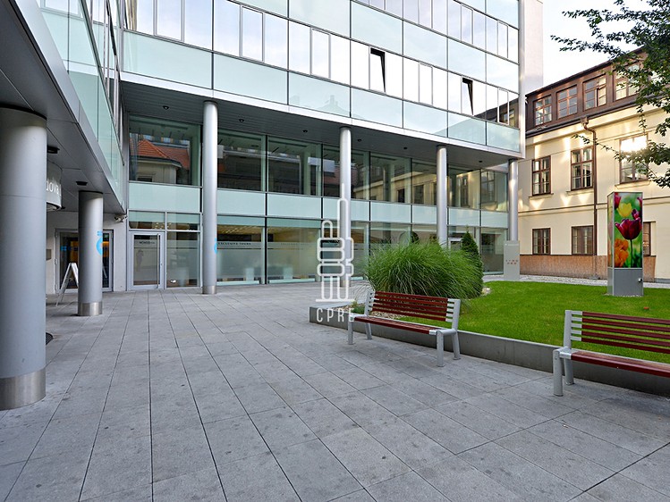 Комерційне приміщення в оренду, 322 м² (6 з 8)