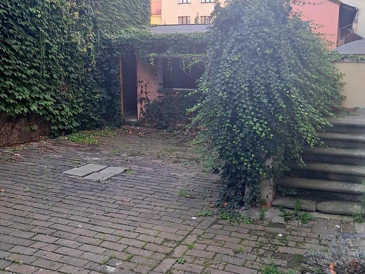 Комерційне приміщення в оренду, 360 м² (13 з 24)