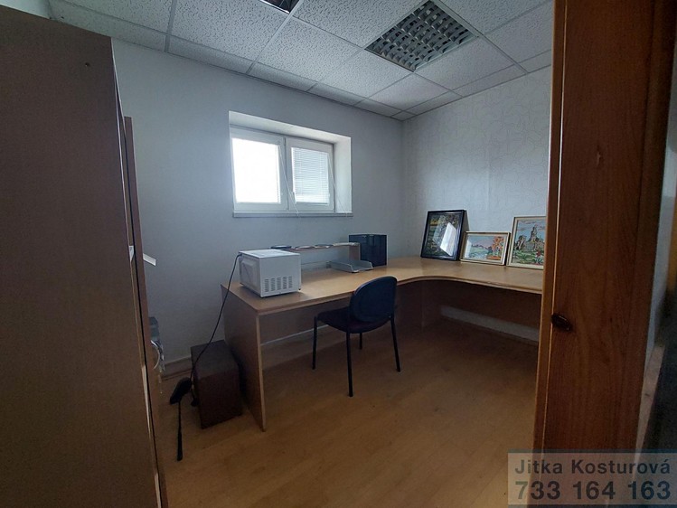 Pronájem komerčního prostoru, 100 m² (14 z 15)
