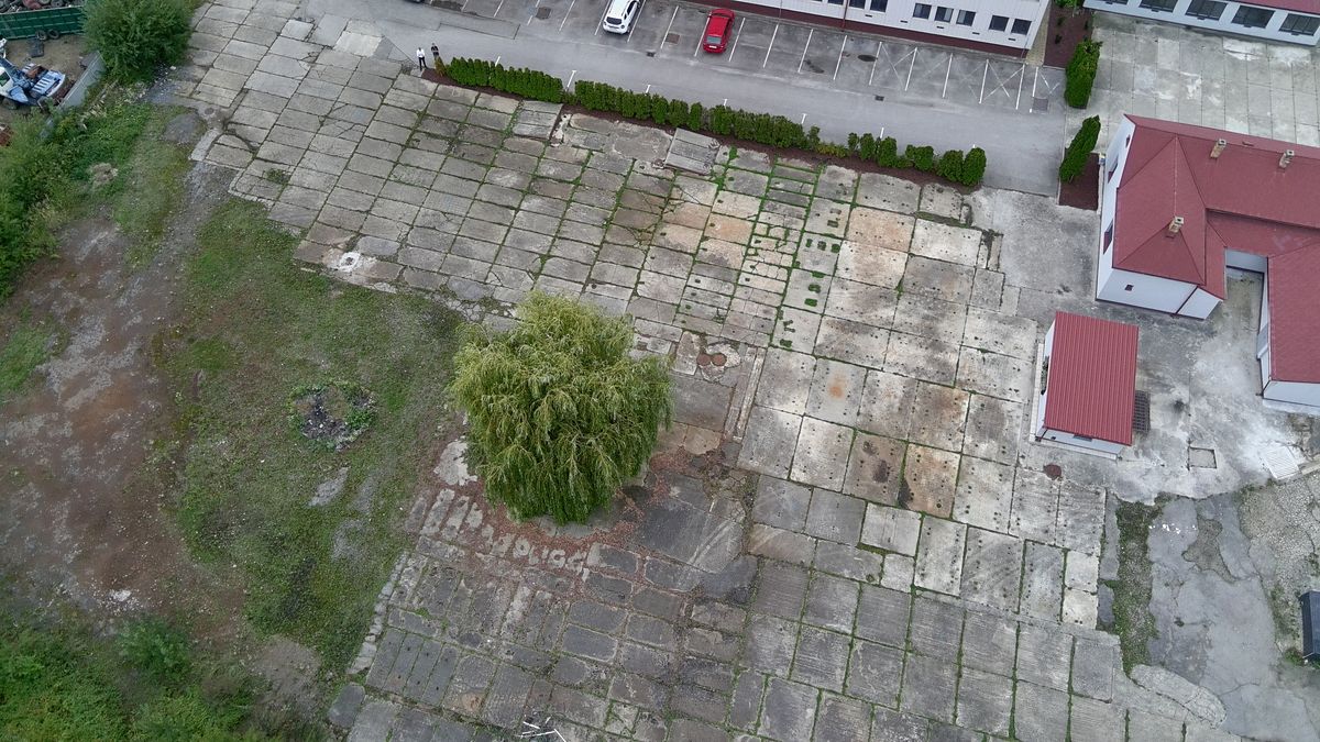 Pronájem komerčního pozemku 4000 m² – fotografie 5