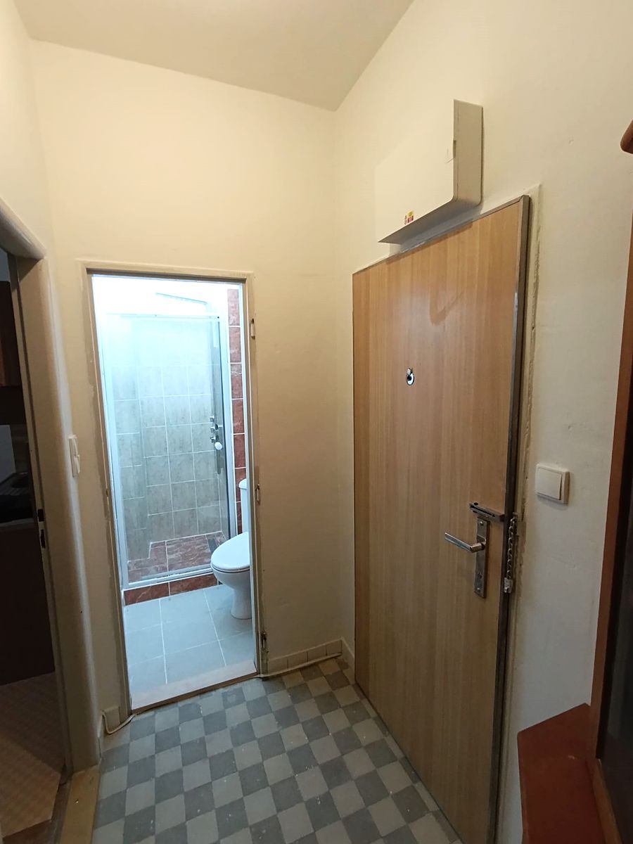 Pronájem bytu 1+kk 21 m² – fotografie 4