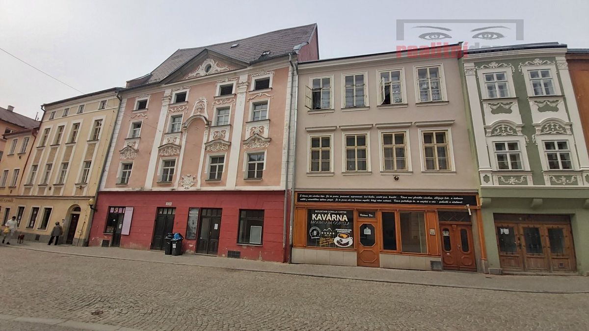 Prodej památky 490 m², pozemek 189 m² – fotografie 3