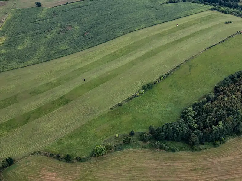 Prodej pole 88263 m², Broumov – náhled fotky 2