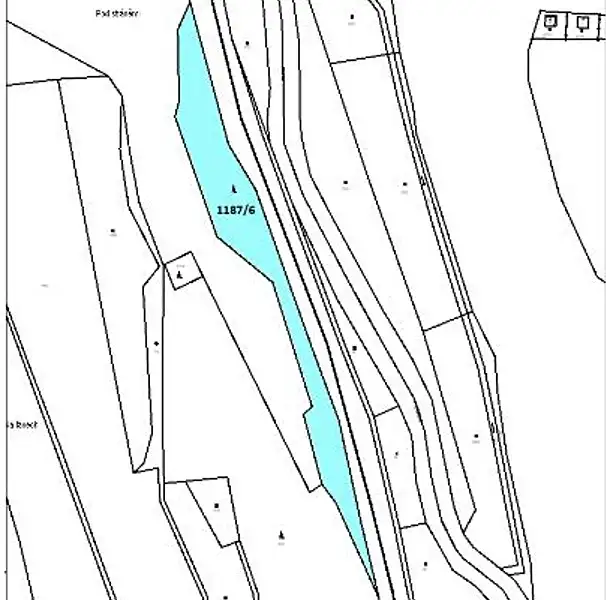 Prodej lesa 7135 m², Brtnice – náhled fotky 3