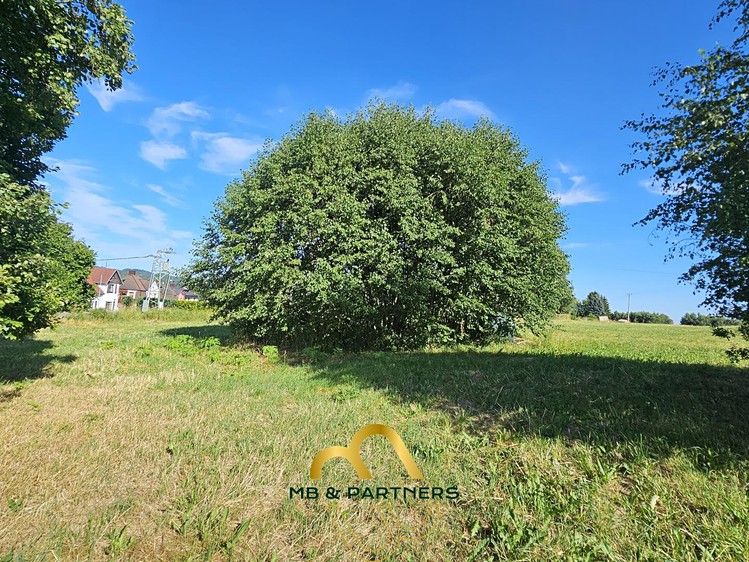 Grundstück zum Kauf, 2.088 m² (10 von 14)