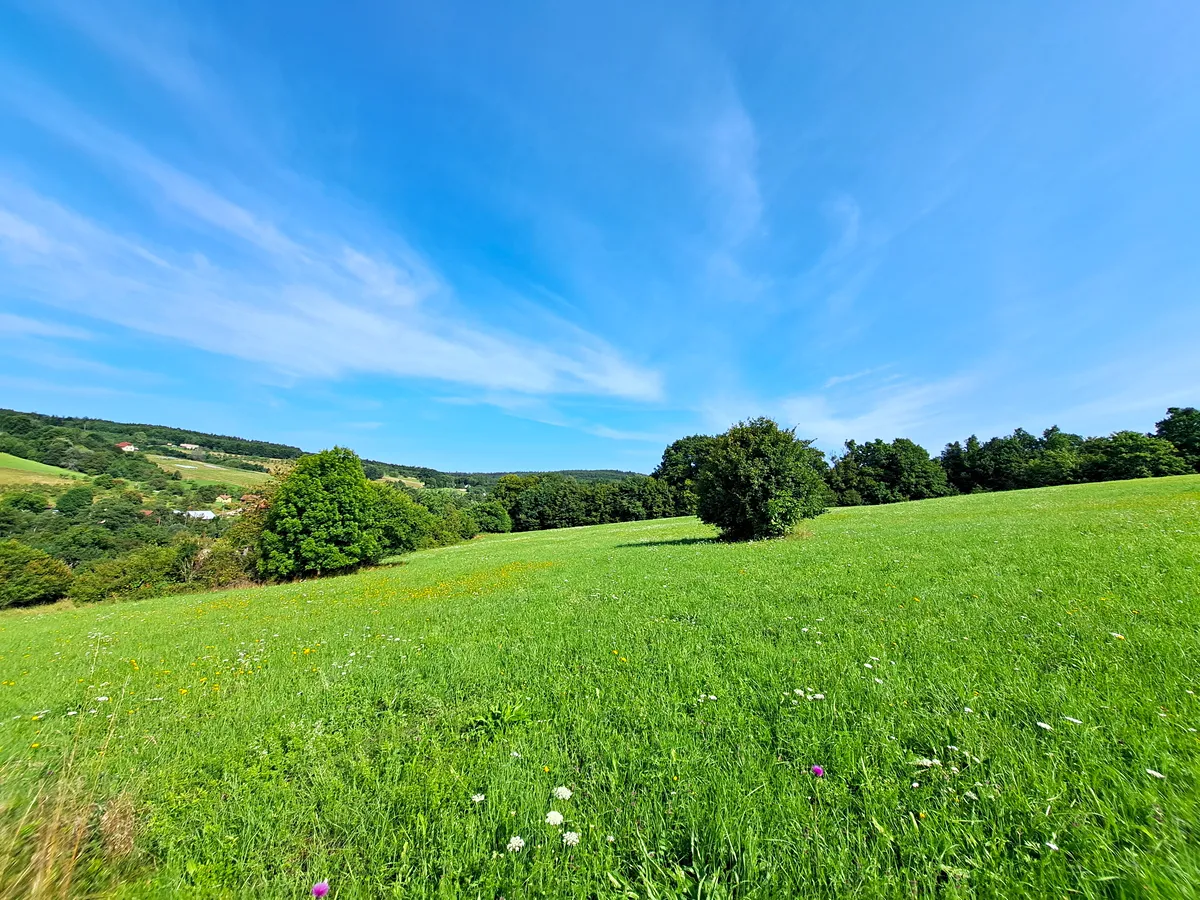 Prodej louky 17696 m²