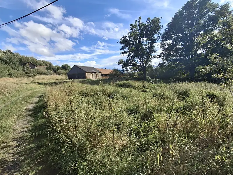Prodej stavebního pozemku 4644 m², Milíkov – náhled fotky 2