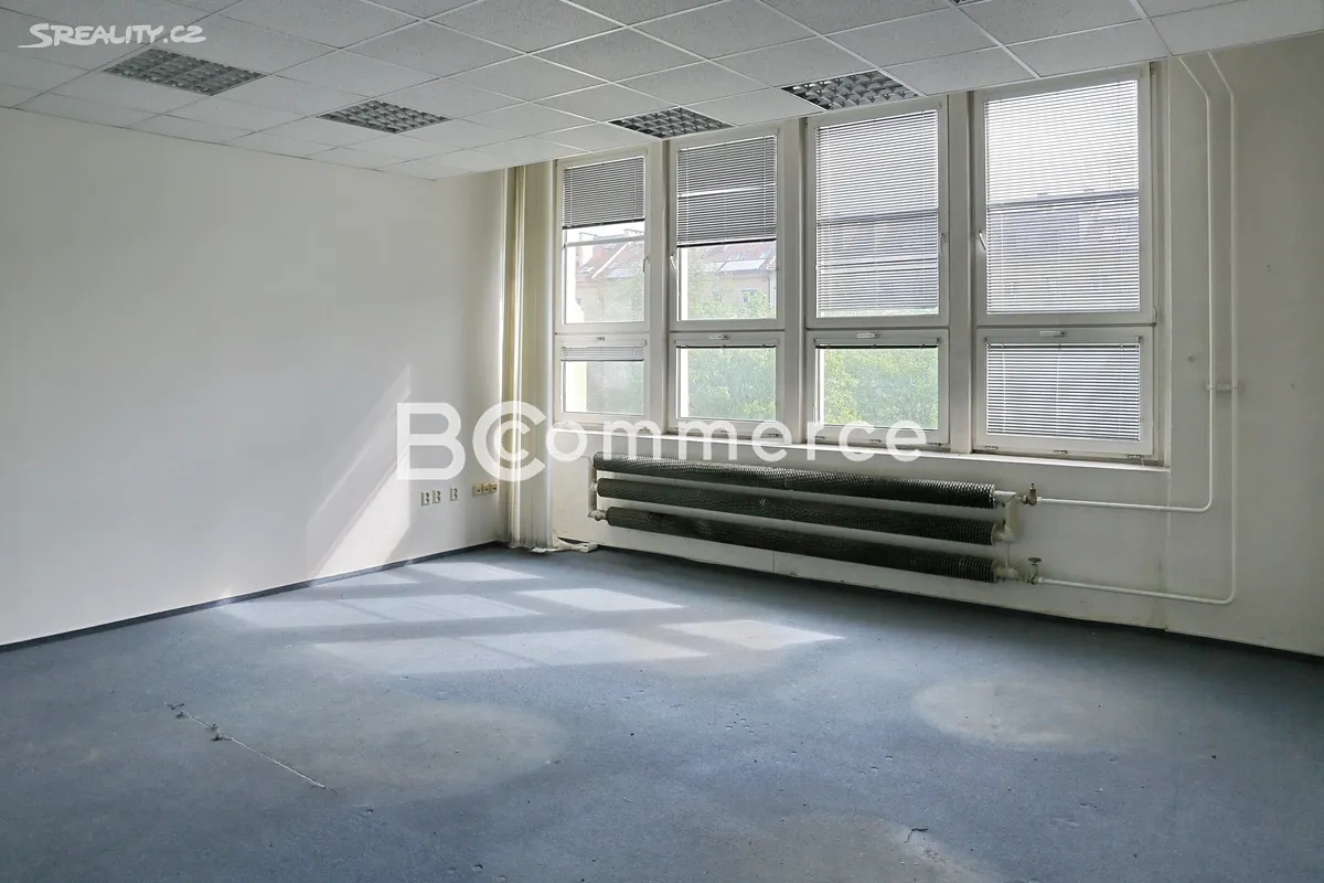 Pronájem kanceláře 350 m² – další
