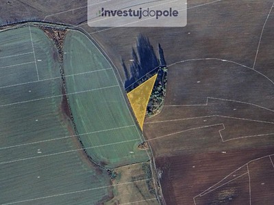 Prodej  pozemku 2 938 m²