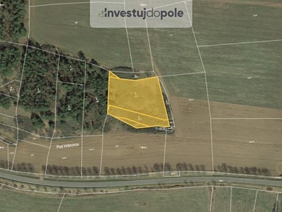 Prodej  lesa 4 837 m²