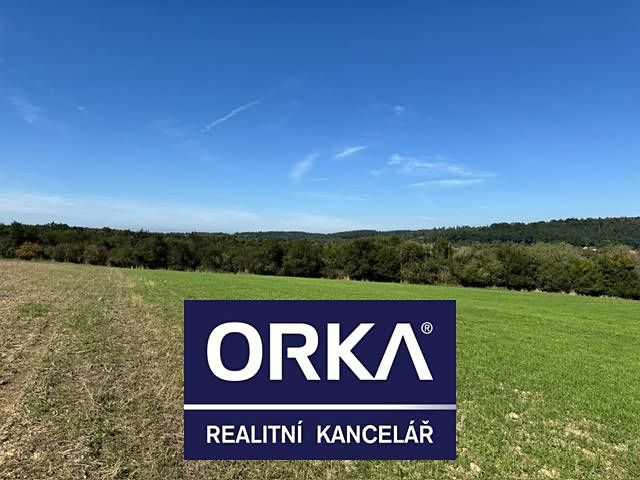 Prodej louky 7785 m²