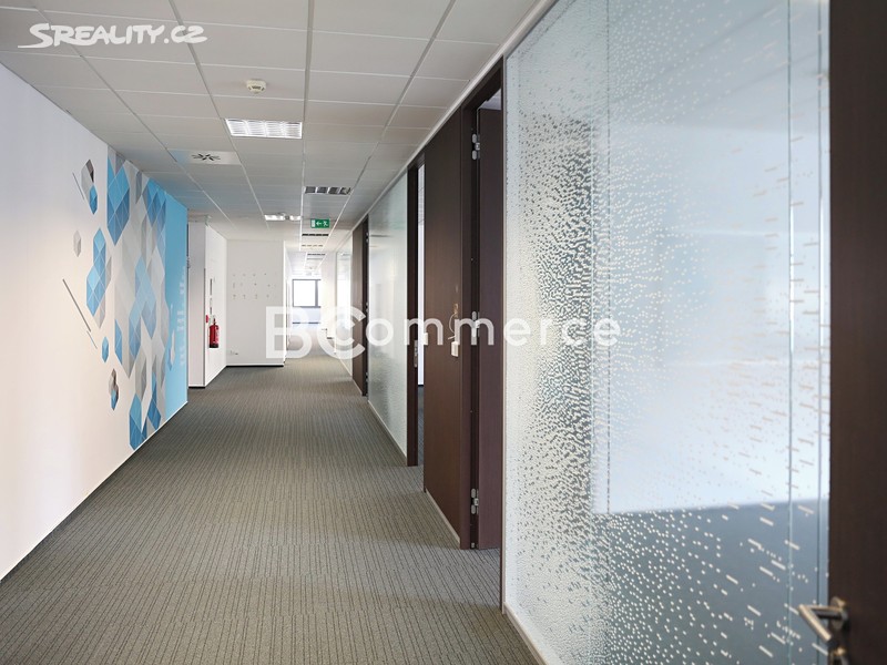 Pronájem kanceláře 577 m², okres Brno-město