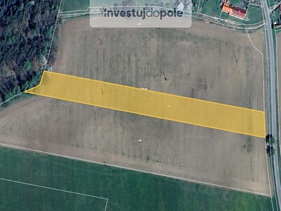 Prodej  pole 10 056 m²