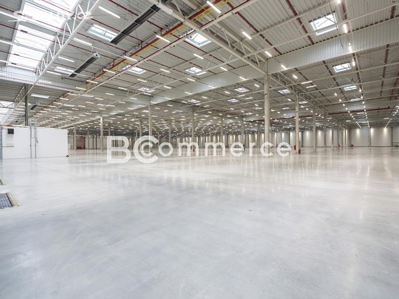 Pronájem skladového prostoru 2 880 m² – pohled 5
