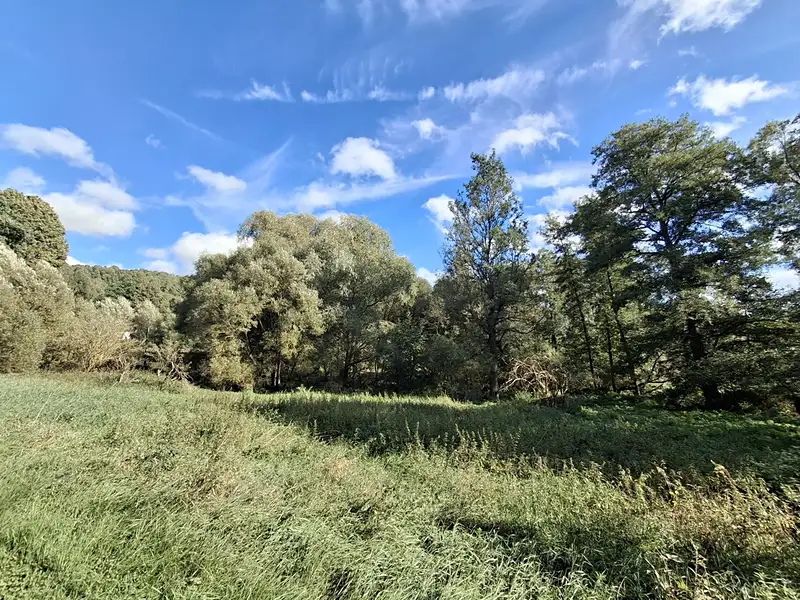 Prodej stavebního pozemku 4644 m², Milíkov – náhled fotky 1