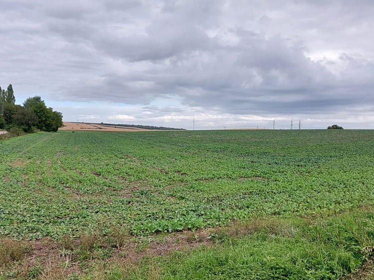 Grundstück zum Kauf, 25.000 m² (4 von 4)