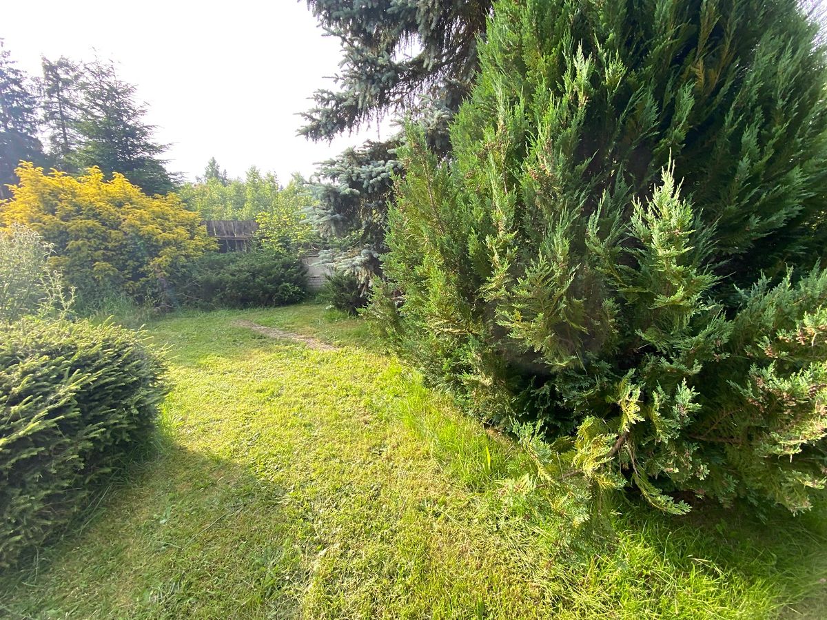 Prodej rodinného domu 160 m², pozemek 1541 m² – fotografie 3