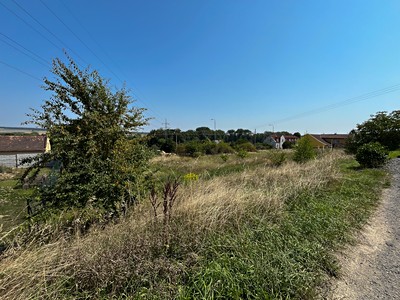 Prodej  pozemku 1 782 m² — photo 4