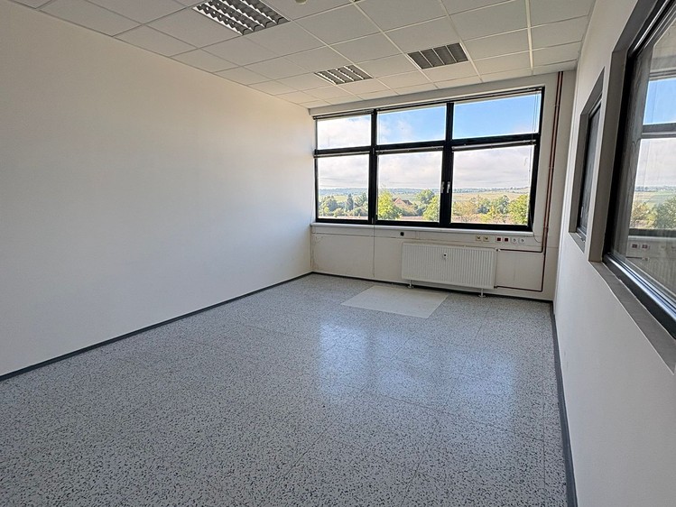 Комерційне приміщення в оренду, 600 м² (10 з 16)