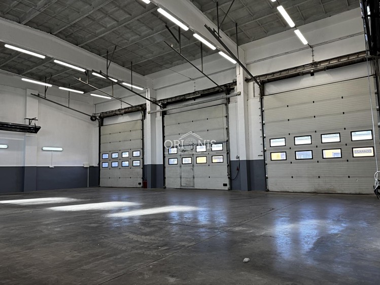 Gewerbefläche zur Miete, 370 m² (3 von 12)