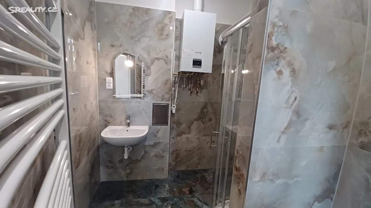 Pronájem bytu 1+1 57 m² - Więcej
