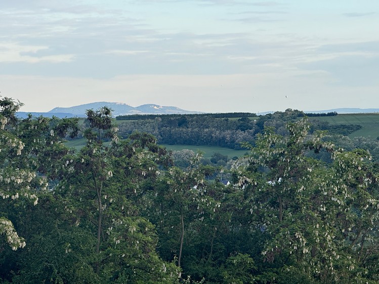 Ostatní
