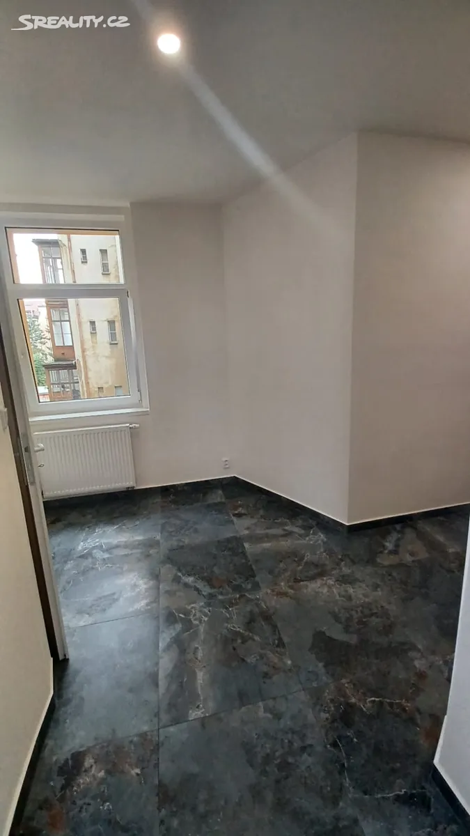 Pronájem bytu 1+1 57 m² - Widok 3