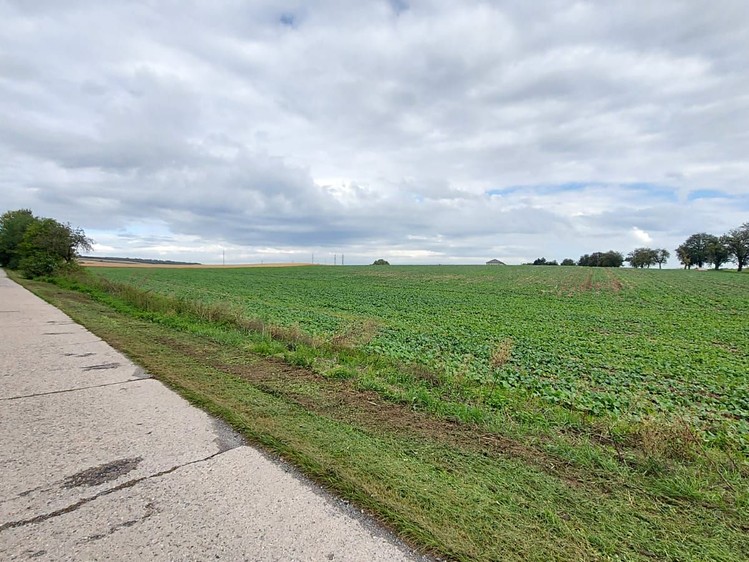 Grundstück zum Kauf, 25.000 m² (1 von 4)