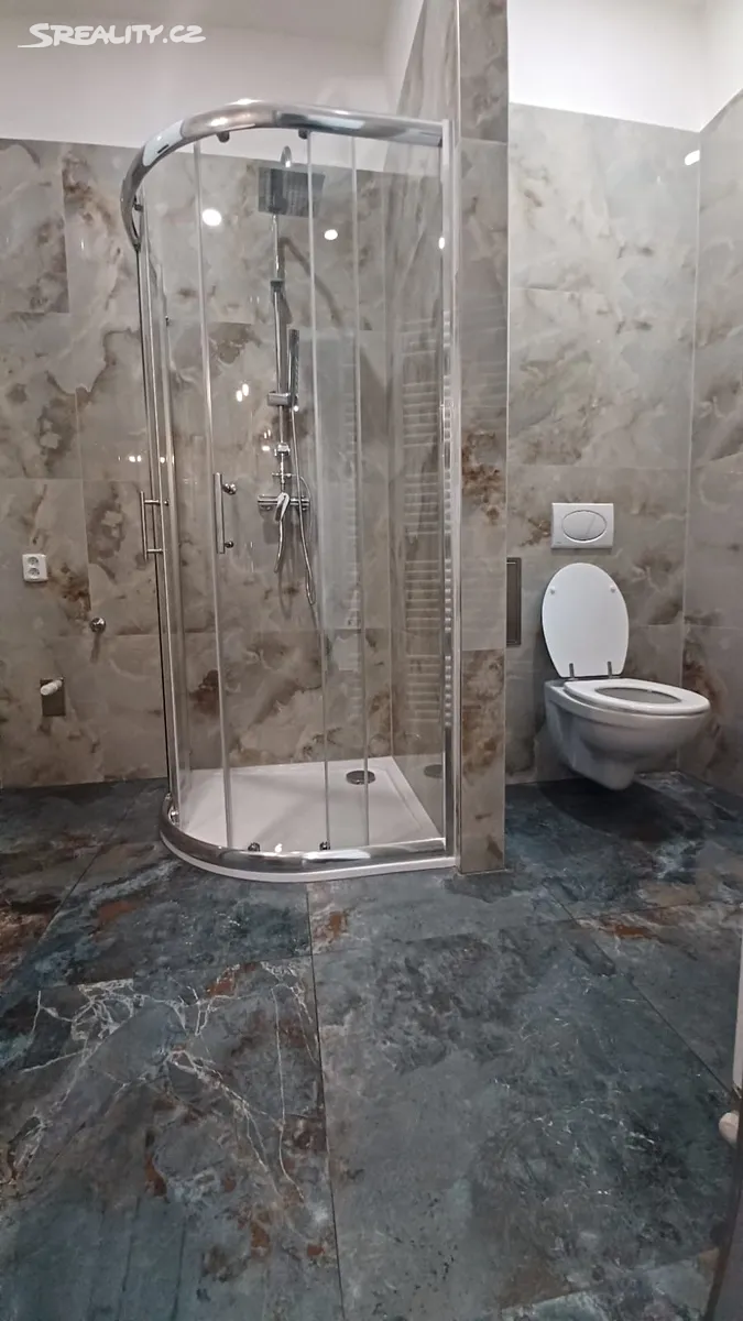 Pronájem bytu 1+1 57 m² - Widok 5