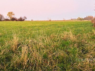 Prodej  stavebního pozemku 2 092 m² — photo 3