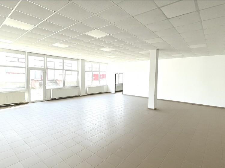 Pronájem komerčního prostoru, 234 m² (6 z 14)