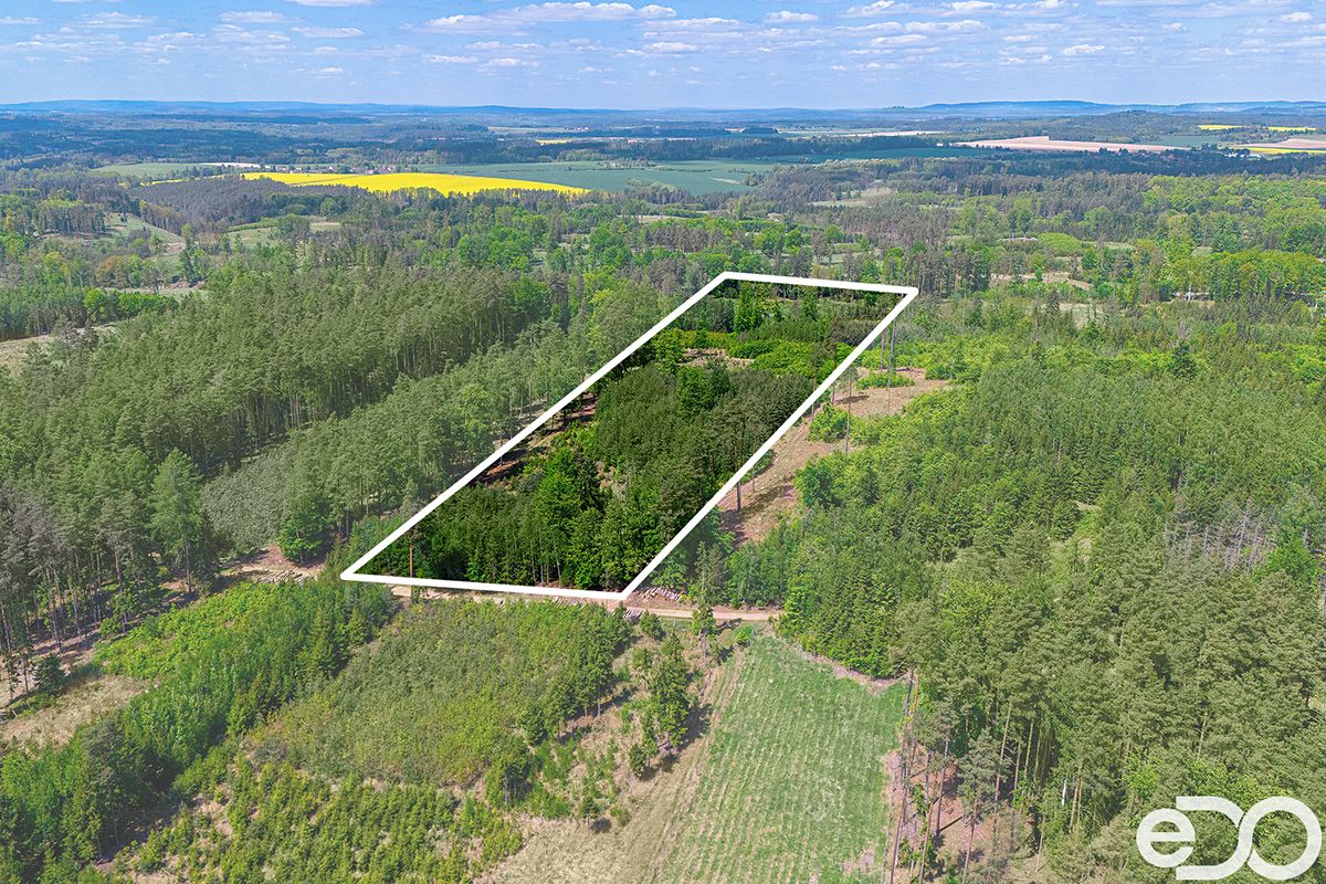 Prodej lesa 79500 m², Jetětice – fotka 1 z 3
