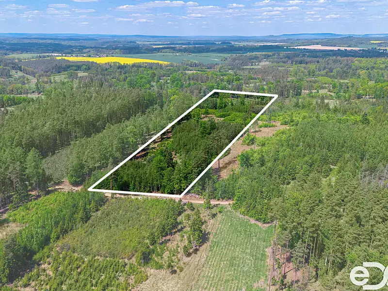 Prodej lesa 79500 m², Jetětice – náhled fotky 1