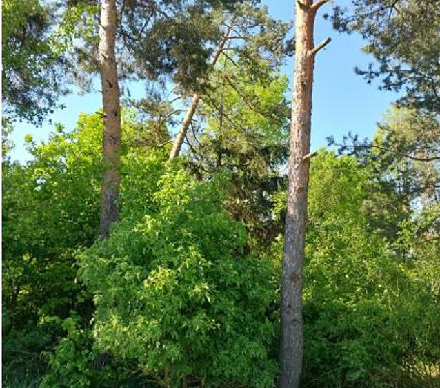 Grundstück zum Kauf, 2.058 m² (2 von 5)