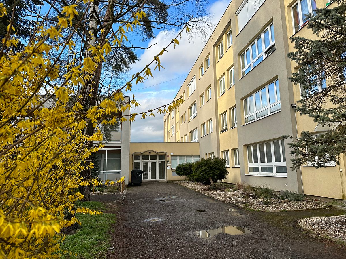 Prodej kanceláře 22 m² – fotografie 4