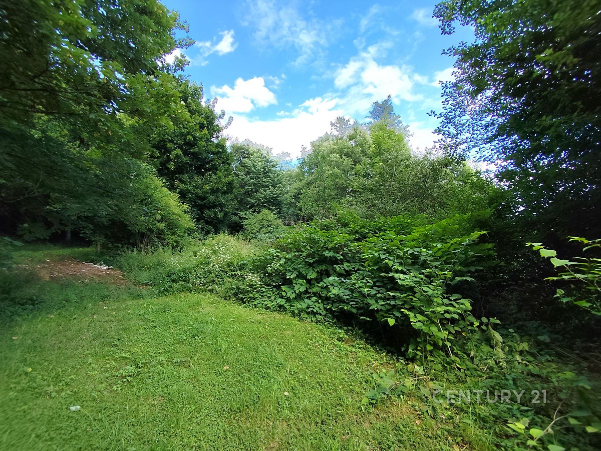 Prodej zahrady 4886 m² – fotografie 3