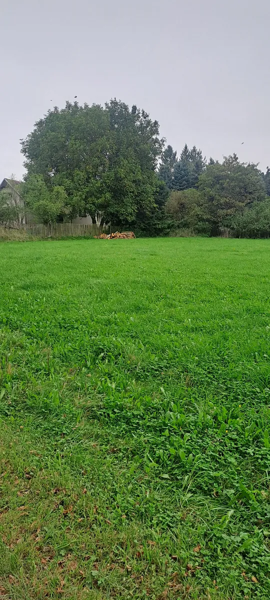 Prodej louky 2640 m²