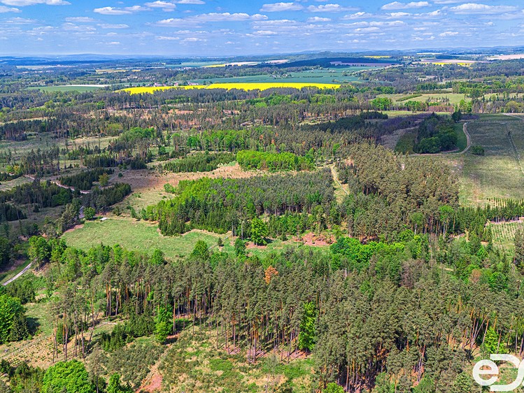 Ділянка на продаж, 79 500 м² (9 з 18)
