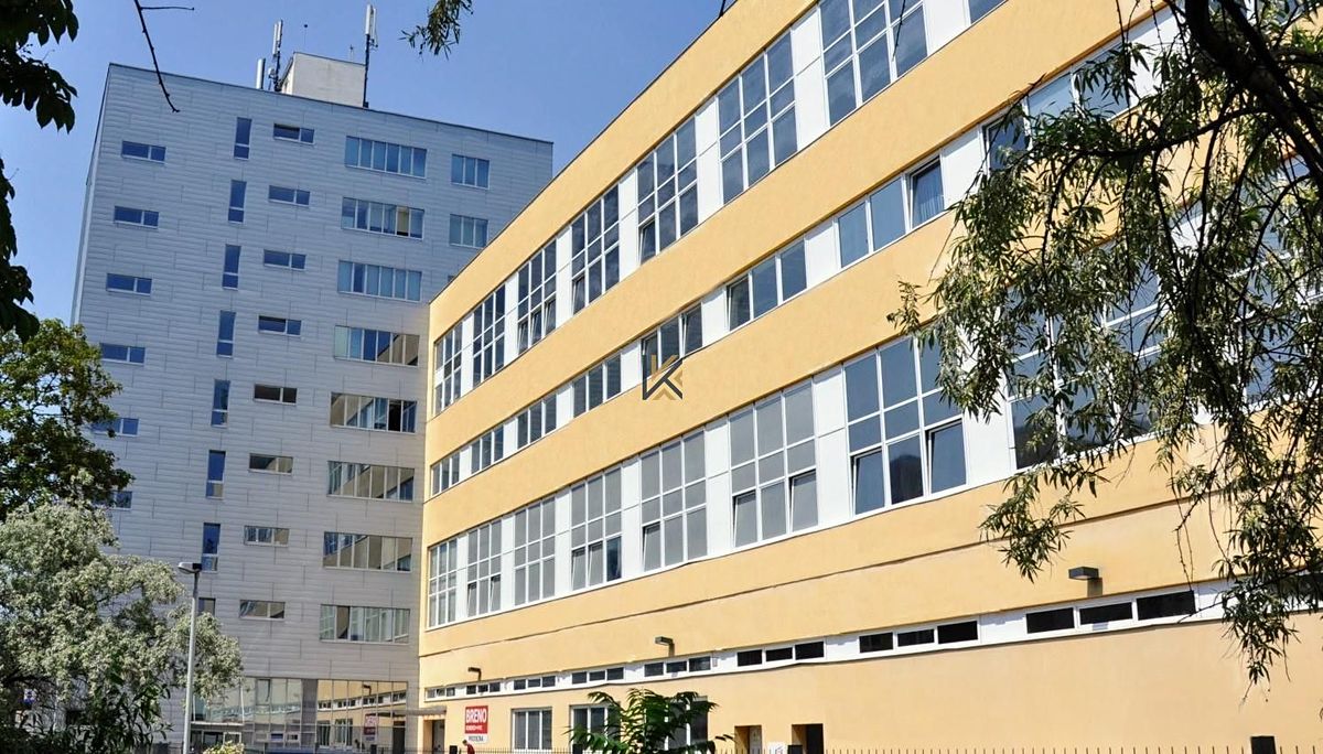 Pronájem obchodního prostoru 240 m² – fotografie 3