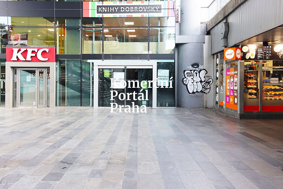 Pronájem obchodního prostoru 200 m²