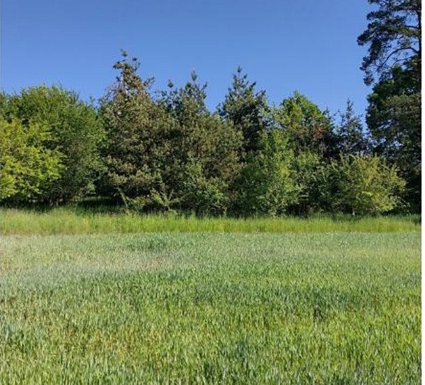 Grundstück zum Kauf, 2.058 m² (3 von 5)