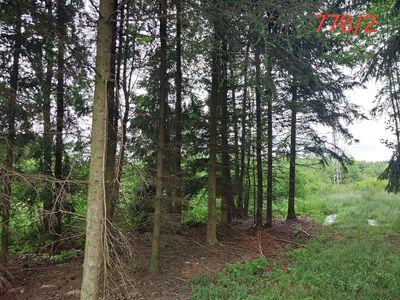 Prodej lesa 2730 m²
