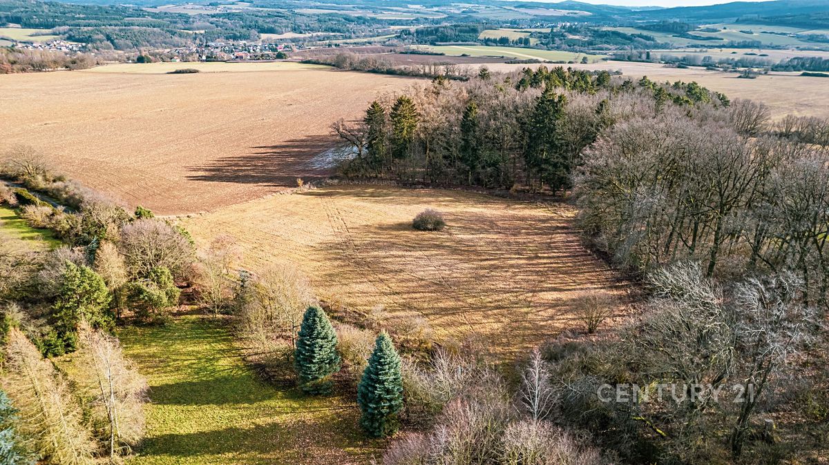 Prodej stavebního pozemku 4332 m² – fotografie 3