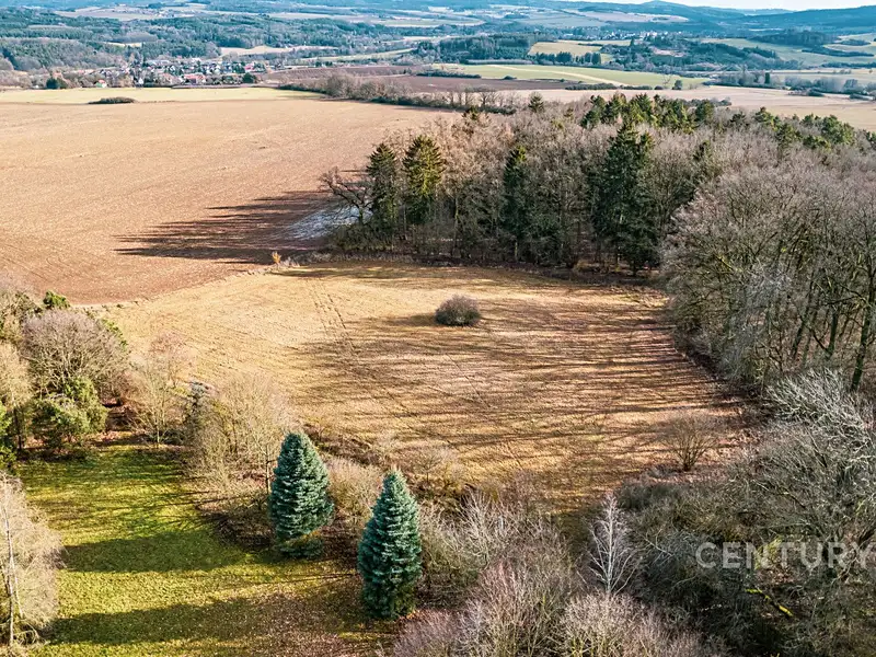 Prodej stavebního pozemku 4332 m², Vlčtejn – náhled fotky 3