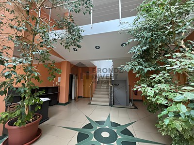 Pronájem kanceláře 14 m²