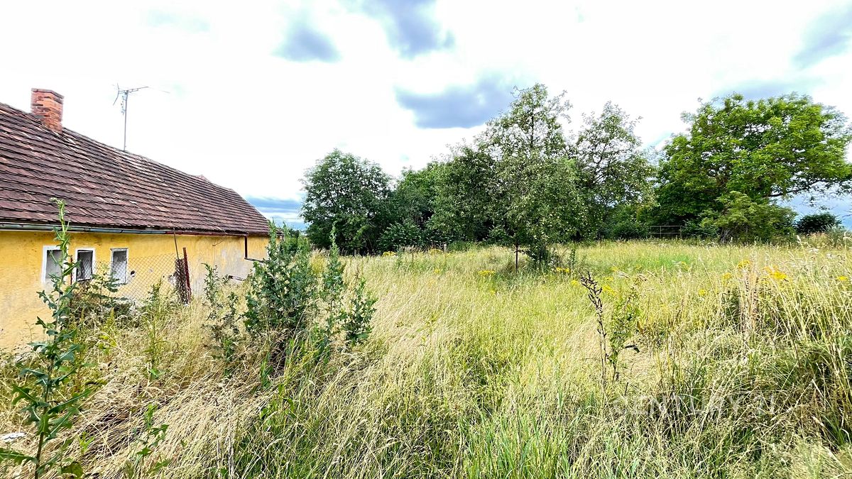 Prodej rodinného domu 263 m², pozemek 1473 m² – fotografie 4
