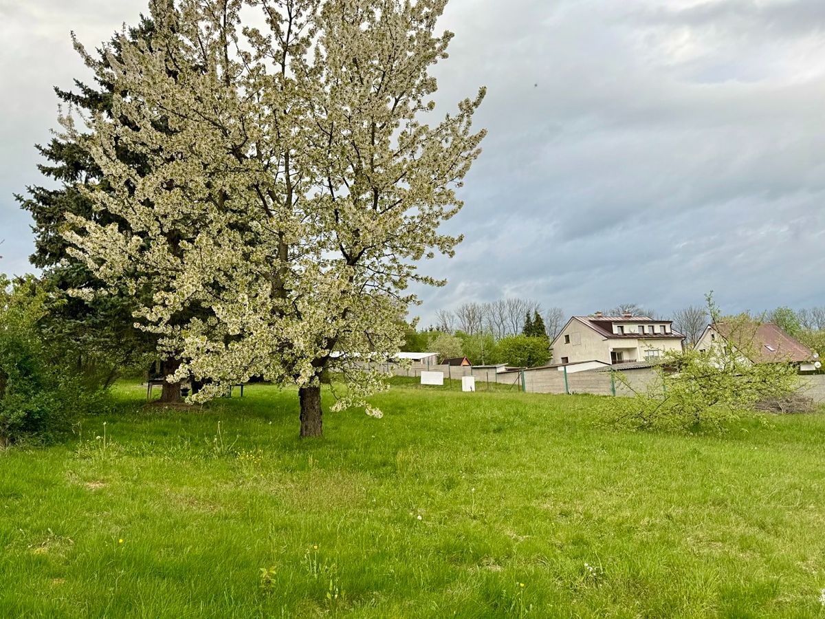 Prodej stavebního pozemku 1662 m² – fotografie 4