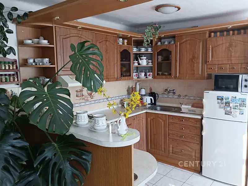 Prodej rodinného domu 220 m², pozemek 539 m², Němčice nad Hanou – náhled fotky 2