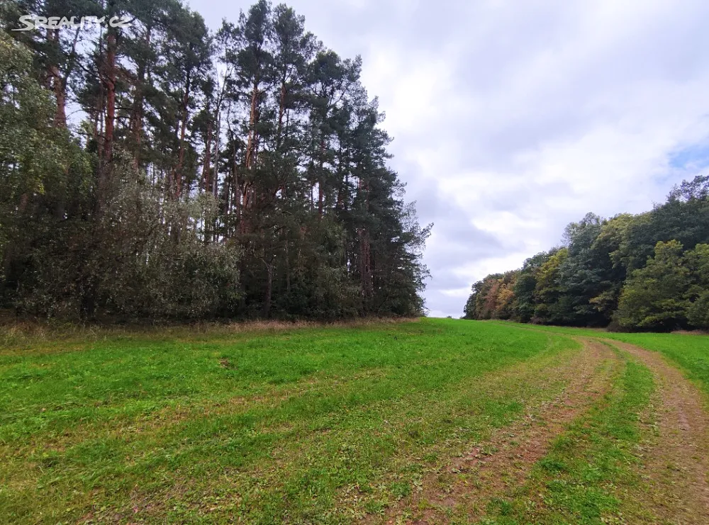 Prodej lesa 44533 m² – pohled 2