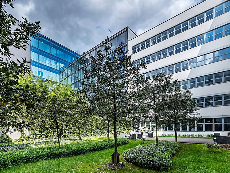 Gewerbefläche zur Miete, 1.620 m² (4 von 8)